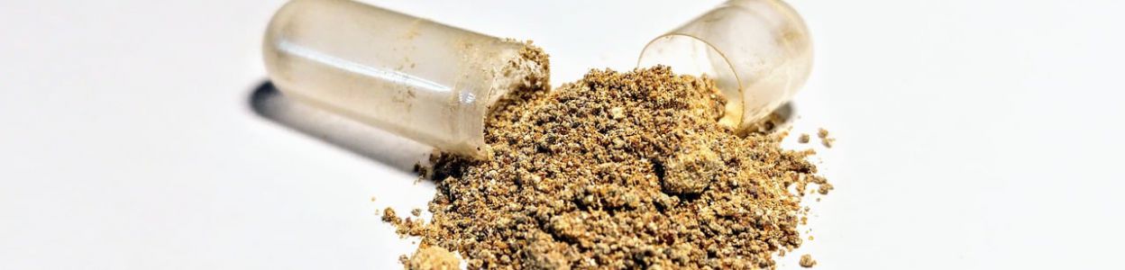 Ashwagandha - co to jest i jak działa?