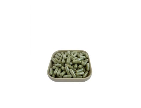 tabletki moringa
