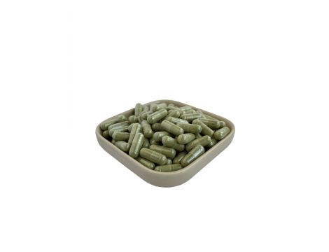 tabletki moringa