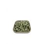tabletki moringa