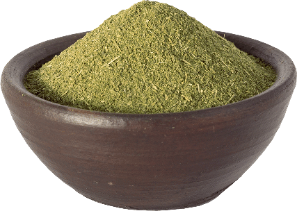 herbata moringa